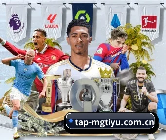 tap-mgtiyu.com.cn的方向 - 长期内容价值积累